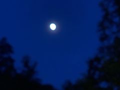 -安吉龙王山峡谷漂流