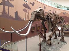 -陕西自然博物馆