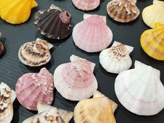 -摩登百货(岗顶店)