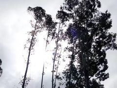 -广东外语外贸大学(白云山校区)