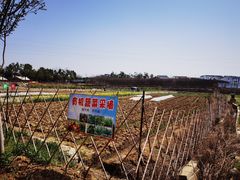 -武汉紫薇都市田园