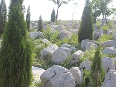 -原山国家森林公园