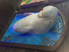 -悉尼海洋生物水族馆
