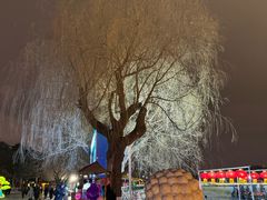 -长春市南湖公园