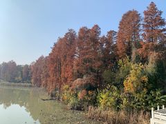 -东湖落雁景区