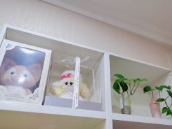 -金美秀养生瘦身