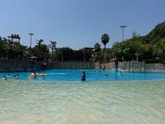 -重庆海昌加勒比海水世界