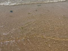 -北戴河东海水浴场