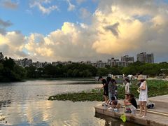 -新江湾城公园