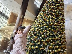 -北京北辰洲际酒店