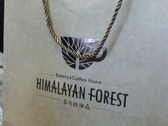 -喜马拉雅森HIMALAYAN FOREST