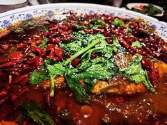 杨记招牌鱼-杨记隆府(白象街店)