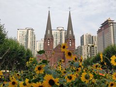 -徐家汇天主堂