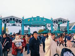 -荷兰花海