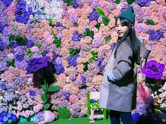 -顺德南宏海立方海洋公园
