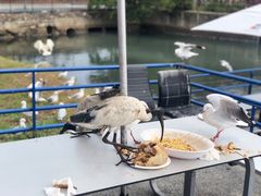 -悉尼鱼市场