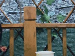 -鹅滋道(甘坑古镇店)