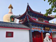 -西塔老太太泥炉烤肉(沈阳店)