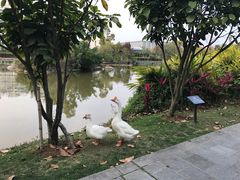 -厦门悦华酒店