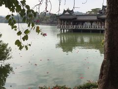 -君豪大酒店-东海渔村中餐厅