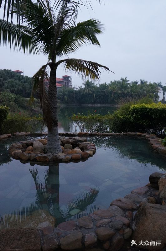 台山富丽湾温泉度假村观景池图片 - 第45张
