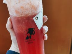 白玉海棠-茶理宜世(东方宝泰店)