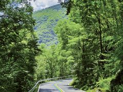 -牛背梁国家森林公园