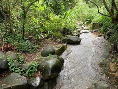 -火炉山森林公园