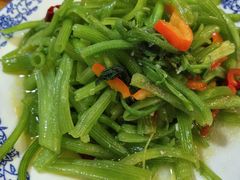 -呼吸森林·生态农庄农家乐私房菜