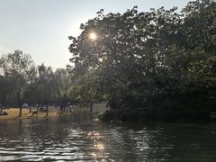 -上海方塔园