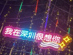 -光明农场大观园