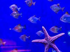 -沈阳海洋探索中心