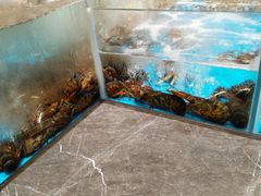 -艳阳天·非遗楚菜(武汉客厅店)
