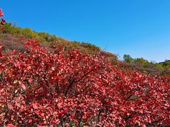 -鬼笑石后山停车场