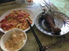 -杨家饭馆(八宝店)