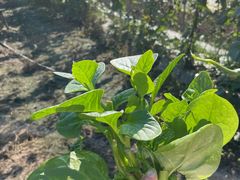 -小乡小镇·传承桐庐土菜·老板亲自烧的菜