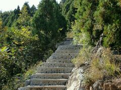 -府君山公园