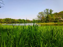 -一江春水·杭帮臻宴(三台山店)