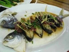 姜丝蒸金鲳鱼干-一品美食城(石碣序伦小学店)