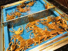 -蟹将军·松叶蟹和牛日料放题自助(K11店)