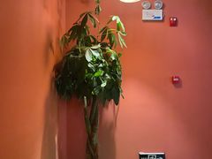 -泰融玺·泰式按摩SPA(包河万达店)