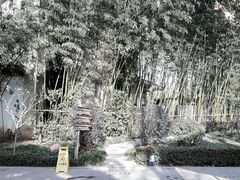 -春晖园度假酒店温泉