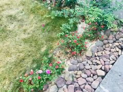 -生态苑农庄(十里画廊遇龙河店)