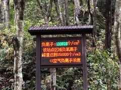 -姑婆山旅游区