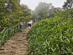 -梧桐山风景名胜区