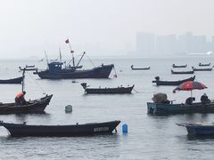 -海源公园