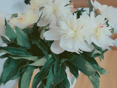-AHAVA·Fang Baking Studio