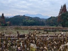 -清漾毛氏文化村