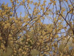 -黄兴公园