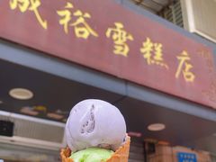 -成裕雪糕店(士多店)